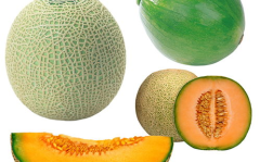 网红吃甜香蜜瓜图片,甜蜜诱惑,视觉盛宴