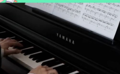 卡农铃音,古典旋律的现代演绎,唤醒心灵的和谐之音