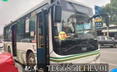 14路公交车路线,穿梭城市脉络,连接生活点滴