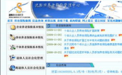 沈阳市养老保险查询,全方位了解您的养老保障”