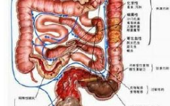 慢性结肠炎症状,腹痛、腹泻与生活影响