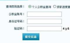 住房公积查询,住房公积查询攻略,助您了解个人公积金详情
