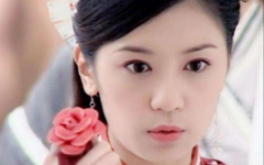 贾静雯主演的电视剧大全,从古装佳人到现代辣妈,电视剧生涯精彩回顾