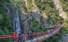 旗山国家森林公园,体验旗山国家森林公园的生态魅力