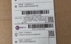 圆通快递单号查询单号,实时追踪包裹动态