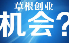 创业找加盟,揭秘加盟项目选择与成功之道