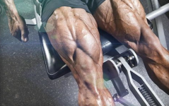 腿部肌肉锻炼,塑造强健下肢的秘诀