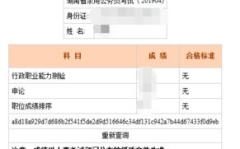 福建省公务员考试成绩查询,时间、入口、分数线及面试安排全解析”