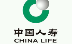华夏人寿保险公司,创新驱动,稳健发展的全国性股份制寿险巨头