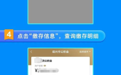 绍兴公积金查询,便捷途径与操作指南