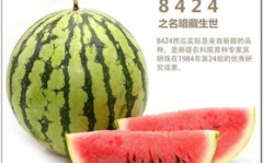 三叶草吃瓜说娱乐,娱乐圈幕后趣闻大揭秘