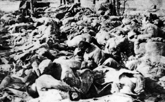 南京大屠杀真相,历史真相与人类悲剧的见证