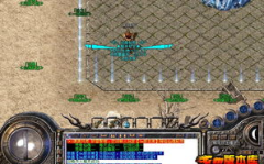 新开网通奇迹私服,畅游奇幻世界,体验极致冒险之旅